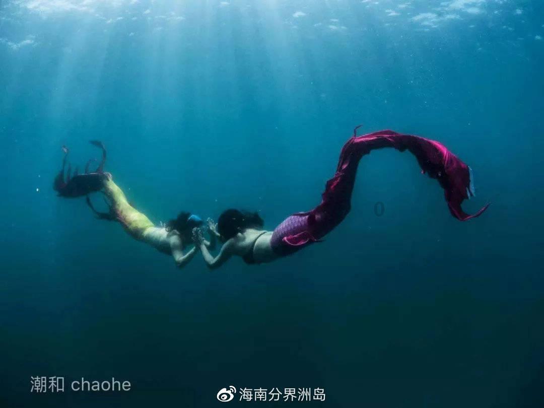 阿拉亚